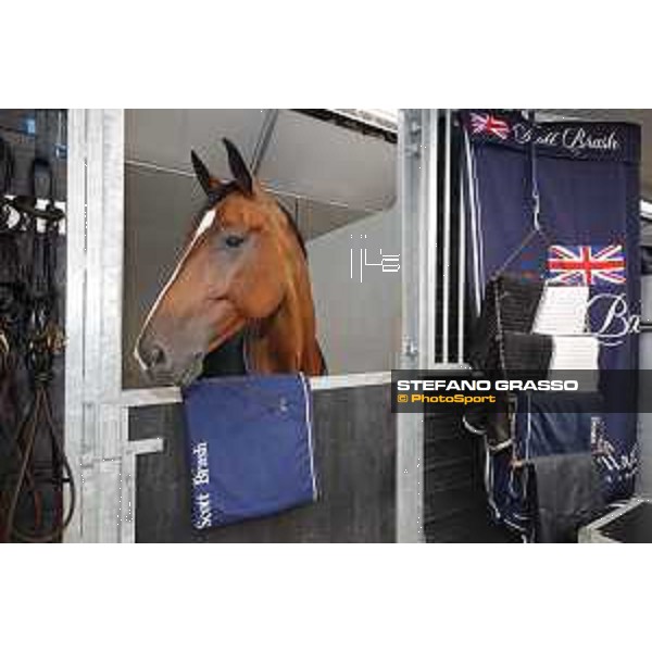 LGCT of Valkenswaard - Hello Senator - Valkenswaard, - 11 August 2017 - ph.Stefano Grasso/LGCT