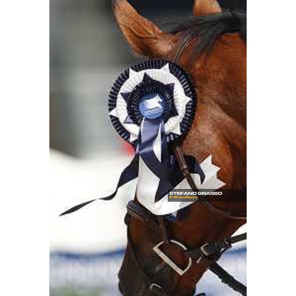 LGCT of Valkenswaard - The rosettes - Valkenswaard, - 13 August 2017 - ph.Stefano Grasso/LGCT