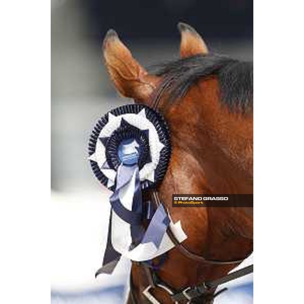 LGCT of Valkenswaard - The rosettes - Valkenswaard, - 13 August 2017 - ph.Stefano Grasso/LGCT