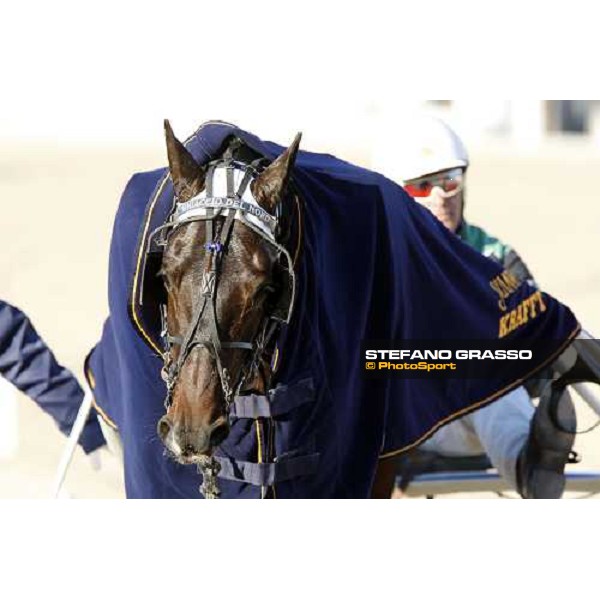close up for Ghiaccio del Nord and Enrico Bellei winners of Gran Premio Citˆ di Trieste - Fabio Jegher Trieste, 20th october 2007 ph. Stefano Grasso