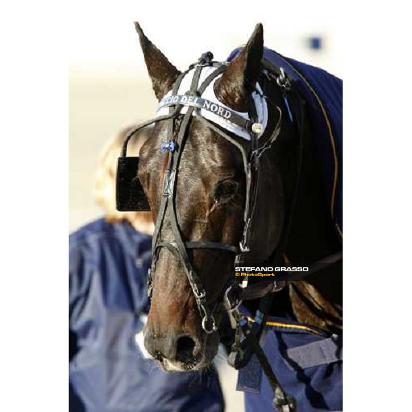 close up for Ghiaccio del Nord Trieste, 20th october 2007 ph. Stefano Grasso