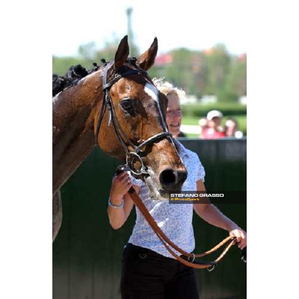 close up for Swing Wing winner of Premio Coppa d\'Oro Milan 23rd may 2004 ph. Stefano Grasso