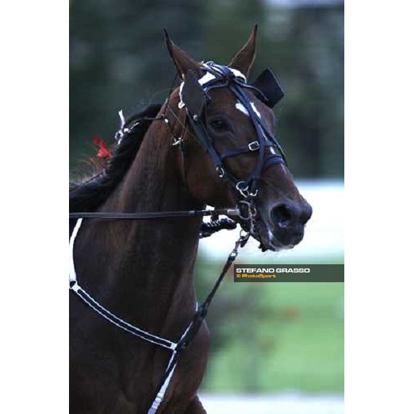 close up for Ismos Fp during warm up Trieste, 20th october 2007 ph. Stefano Grasso