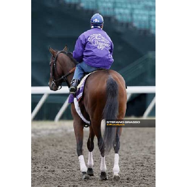 Baroness Thatcher preparing for morningworks at Monmouth Park racetrack Monmouth PArk, NJ, 25th october 2007 ph. Stefano Grasso