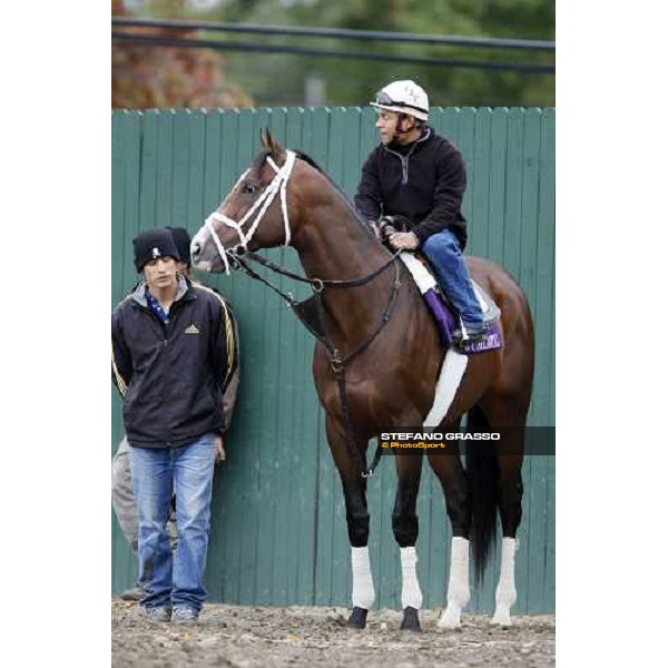 Icy Atlantic preparing for morningworks at Monmouth Park racetrack Monmouth PArk, NJ, 25th october 2007 ph. Stefano Grasso
