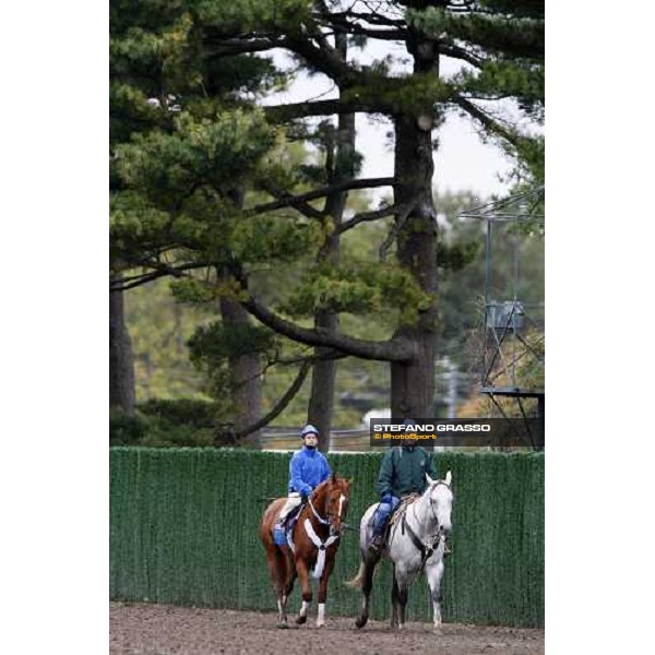 Curlin coming back after morning track works at Monmouth Park racetrack Monmouth PArk, NJ, 25th october 2007 ph. Stefano Grasso