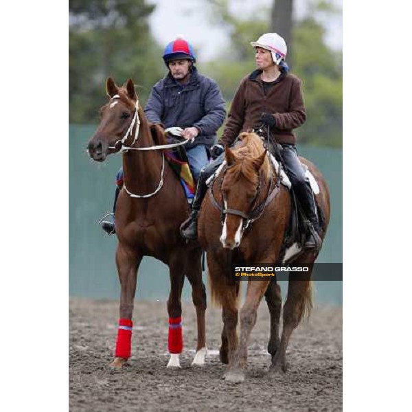 a horse with a pony preparing for morning track works at Monmouth Park racetrack Monmouth PArk, NJ, 25th october 2007 ph. Stefano Grasso