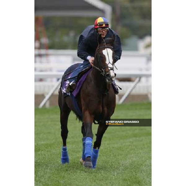 Frankie Dettori on Jeremy during morning track works at Monmouth Park racetrack Monmouth PArk, NJ, 25th october 2007 ph. Stefano Grasso