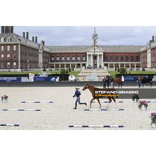 LGCT of London - Vet Check - London, Royal Hospital Chelsea - 3 August 2017 - ph.Stefano Grasso/LGCT