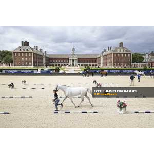LGCT of London - Vet Check - London, Royal Hospital Chelsea - 3 August 2017 - ph.Stefano Grasso/LGCT