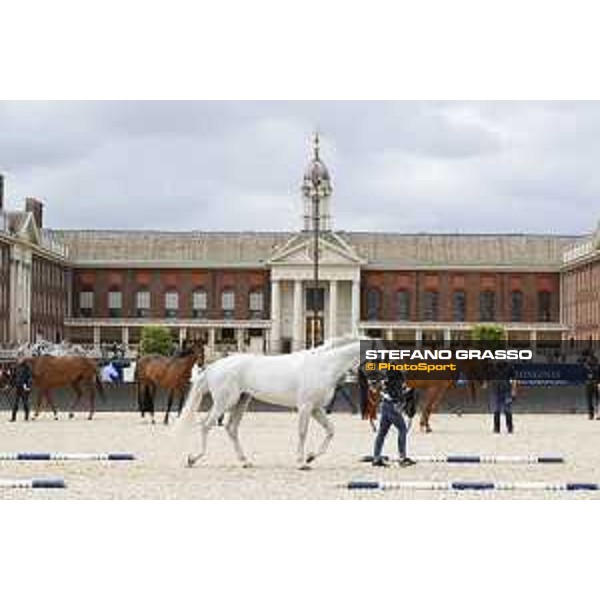 LGCT of London - Vet Check - London, Royal Hospital Chelsea - 3 August 2017 - ph.Stefano Grasso/LGCT