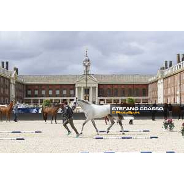 LGCT of London - Vet Check - London, Royal Hospital Chelsea - 3 August 2017 - ph.Stefano Grasso/LGCT