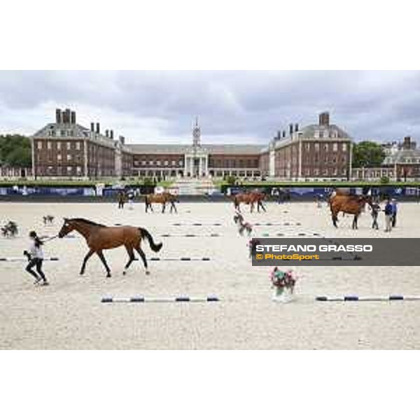 LGCT of London - Vet Check - London, Royal Hospital Chelsea - 3 August 2017 - ph.Stefano Grasso/LGCT