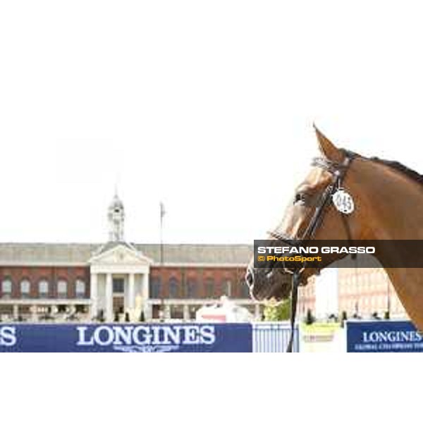 LGCT of London - Vet Check - London, Royal Hospital Chelsea - 3 August 2017 - ph.Stefano Grasso/LGCT