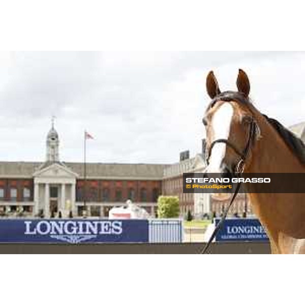 LGCT of London - Vet Check - London, Royal Hospital Chelsea - 3 August 2017 - ph.Stefano Grasso/LGCT