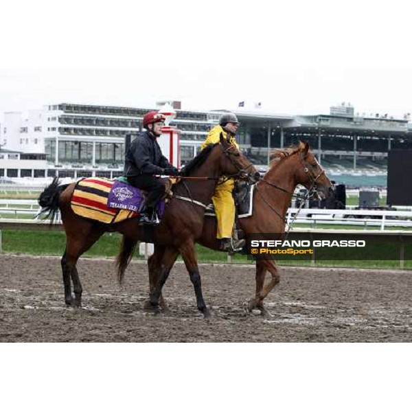 Mick Kinane on Timarwa at Monmouth Park racetrack Monmouth PArk, NJ, 25th october 2007 ph. Stefano Grasso