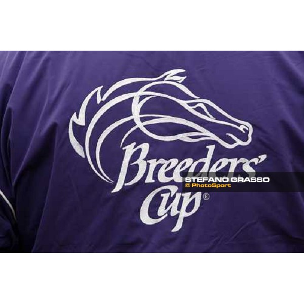 Breeders\' Cup at Monmouth Park racetrack Monmouth PArk, NJ, 25th october 2007 ph. Stefano Grasso