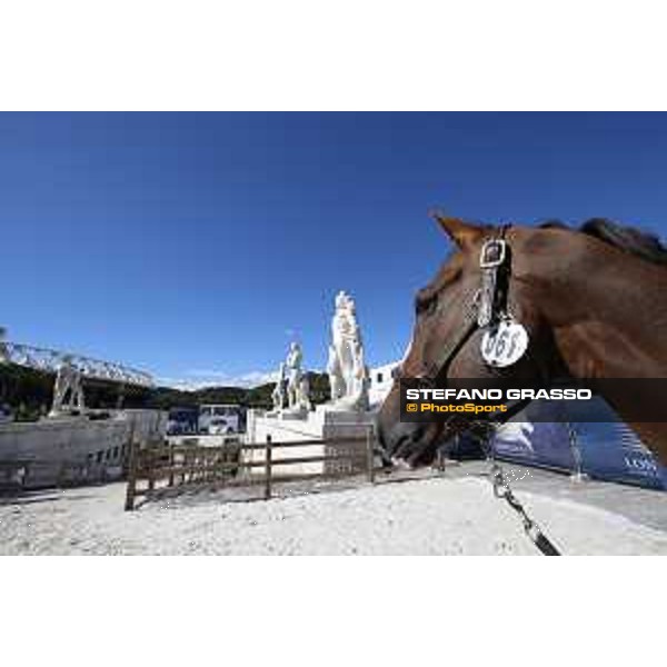 LGCT of Rome - The vet check - Hello Forever Rome - Stadio dei Marmi, 20th sep.2017 ph.Stefano Grasso/LGCT