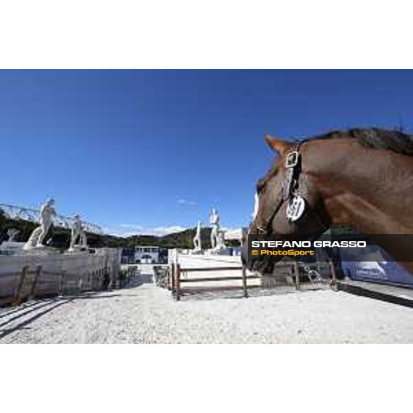 LGCT of Rome - The vet check - Hello Forever Rome - Stadio dei Marmi, 20th sep.2017 ph.Stefano Grasso/LGCT