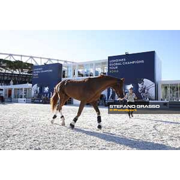 LGCT of Rome - Halifax van het Kluizebos Rome - Stadio dei Marmi, 20th sep.2017 ph.Stefano Grasso/LGCT