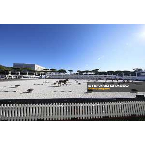 LGCT of Rome - Vet check - Rome - Stadio dei Marmi, 21st sep.2017 ph.Stefano Grasso/LGCT