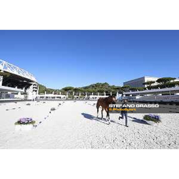 LGCT of Rome - Vet check - Rome - Stadio dei Marmi, 21st sep.2017 ph.Stefano Grasso/LGCT