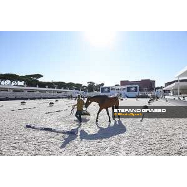 LGCT of Rome - Vet check - Rome - Stadio dei Marmi, 21st sep.2017 ph.Stefano Grasso/LGCT
