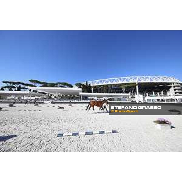 LGCT of Rome - Vet check - Rome - Stadio dei Marmi, 21st sep.2017 ph.Stefano Grasso/LGCT
