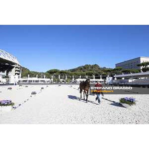 LGCT of Rome - Vet check - Rome - Stadio dei Marmi, 21st sep.2017 ph.Stefano Grasso/LGCT