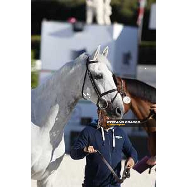 LGCT of Rome - Vet check - Carlo 273 Rome - Stadio dei Marmi, 21st sep.2017 ph.Stefano Grasso/LGCT