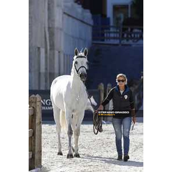 LGCT of Rome - Vet check - Rome - Stadio dei Marmi, 21st sep.2017 ph.Stefano Grasso/LGCT