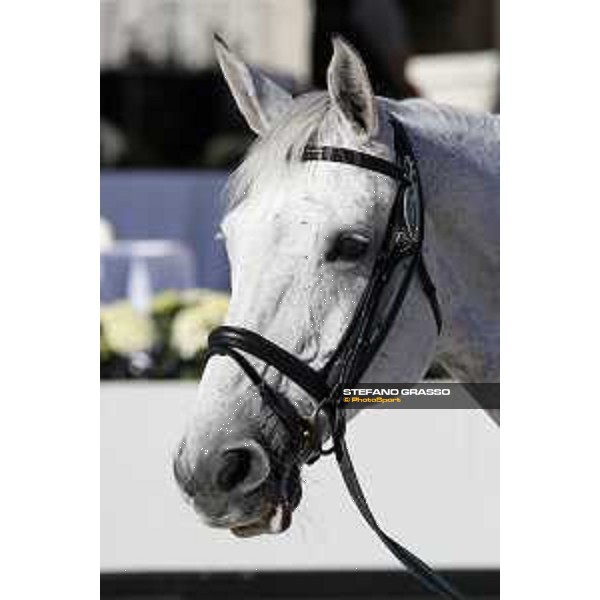 LGCT of Rome - Vet check - Chiara 222 Rome - Stadio dei Marmi, 21st sep.2017 ph.Stefano Grasso/LGCT