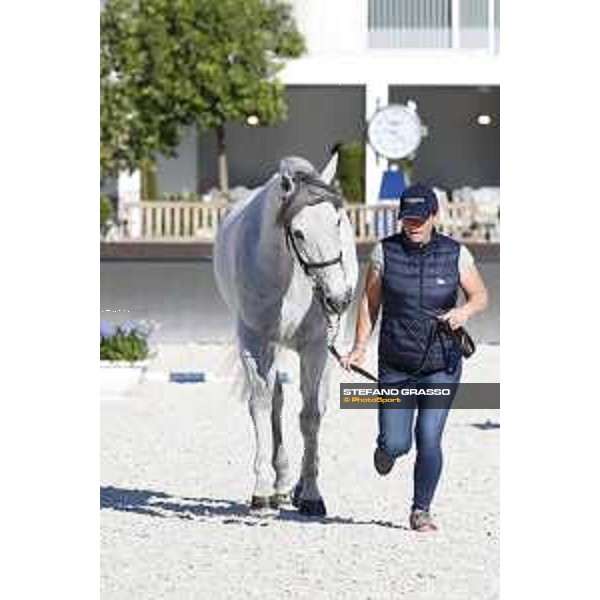 LGCT of Rome - Vet check - Limestone Grey Rome - Stadio dei Marmi, 21st sep.2017 ph.Stefano Grasso/LGCT