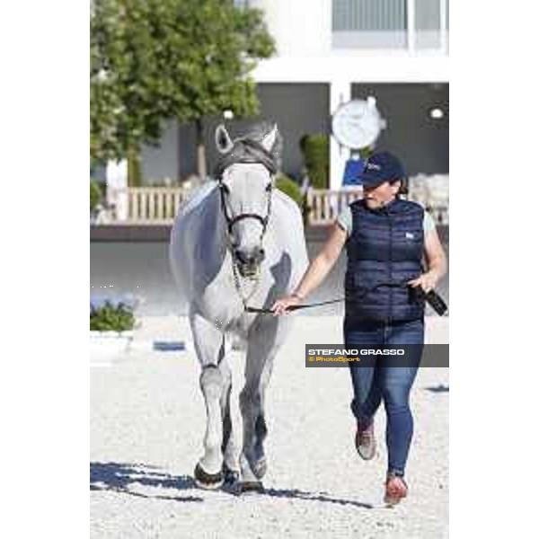 LGCT of Rome - Vet check - Limestone Grey Rome - Stadio dei Marmi, 21st sep.2017 ph.Stefano Grasso/LGCT