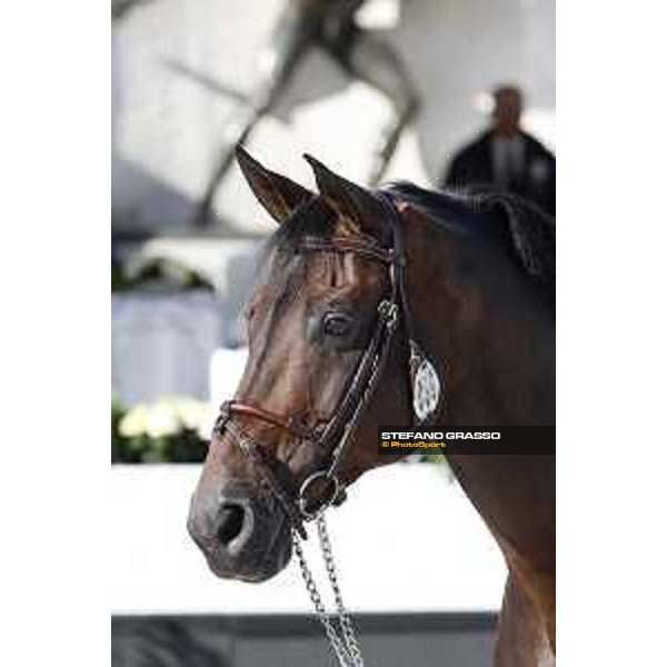 LGCT of Rome - Vet check - Codex One Rome - Stadio dei Marmi, 21st sep.2017 ph.Stefano Grasso/LGCT