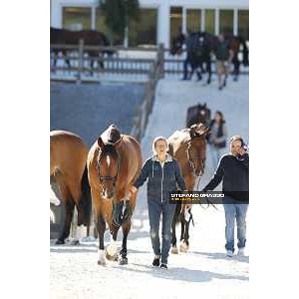 LGCT of Rome - Vet check - Chacon Rome - Stadio dei Marmi, 21st sep.2017 ph.Stefano Grasso/LGCT