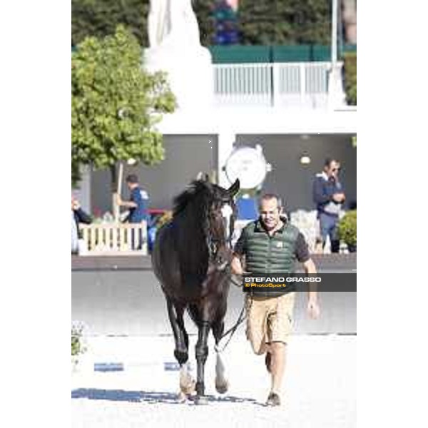 LGCT of Rome - Vet check - Zigali PS Rome - Stadio dei Marmi, 21st sep.2017 ph.Stefano Grasso/LGCT