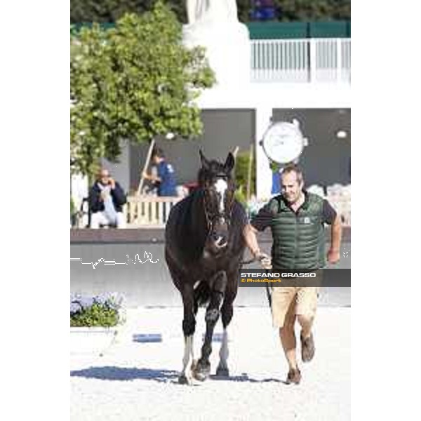 LGCT of Rome - Vet check - Zigali PS Rome - Stadio dei Marmi, 21st sep.2017 ph.Stefano Grasso/LGCT