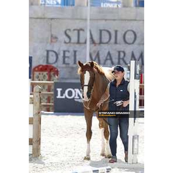 LGCT of Rome - Vet check - Halifax van het Kluizebos Rome - Stadio dei Marmi, 21st sep.2017 ph.Stefano Grasso/LGCT