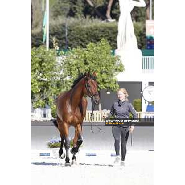 LGCT of Rome - Vet check - Clenur Rome - Stadio dei Marmi, 21st sep.2017 ph.Stefano Grasso/LGCT
