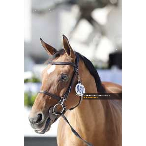 LGCT of Rome - Vet check - Ursula XII Rome - Stadio dei Marmi, 21st sep.2017 ph.Stefano Grasso/LGCT