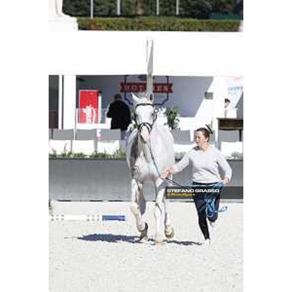 LGCT of Rome - Vet check - Colorit Rome - Stadio dei Marmi, 21st sep.2017 ph.Stefano Grasso/LGCT