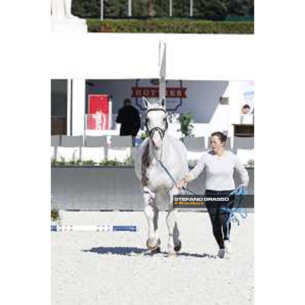 LGCT of Rome - Vet check - Colorit Rome - Stadio dei Marmi, 21st sep.2017 ph.Stefano Grasso/LGCT