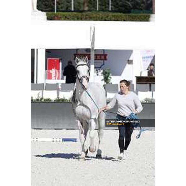 LGCT of Rome - Vet check - Colorit Rome - Stadio dei Marmi, 21st sep.2017 ph.Stefano Grasso/LGCT
