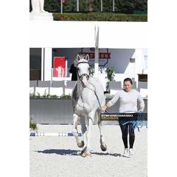 LGCT of Rome - Vet check - Colorit Rome - Stadio dei Marmi, 21st sep.2017 ph.Stefano Grasso/LGCT
