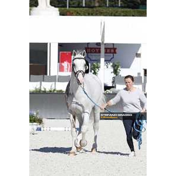 LGCT of Rome - Vet check - Colorit Rome - Stadio dei Marmi, 21st sep.2017 ph.Stefano Grasso/LGCT