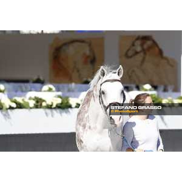 LGCT of Rome - Vet check - Colorit Rome - Stadio dei Marmi, 21st sep.2017 ph.Stefano Grasso/LGCT