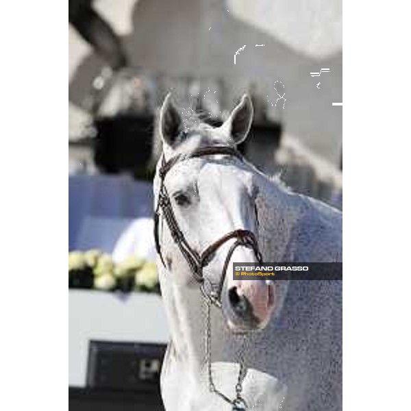 LGCT of Rome - Vet check - Colorit Rome - Stadio dei Marmi, 21st sep.2017 ph.Stefano Grasso/LGCT