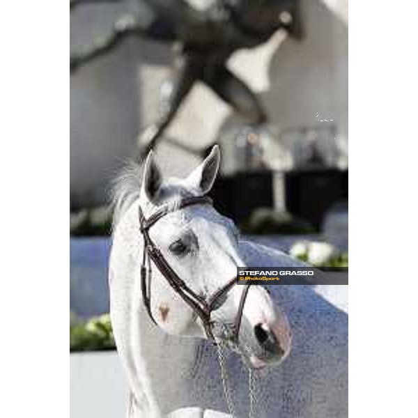 LGCT of Rome - Vet check - Colorit Rome - Stadio dei Marmi, 21st sep.2017 ph.Stefano Grasso/LGCT