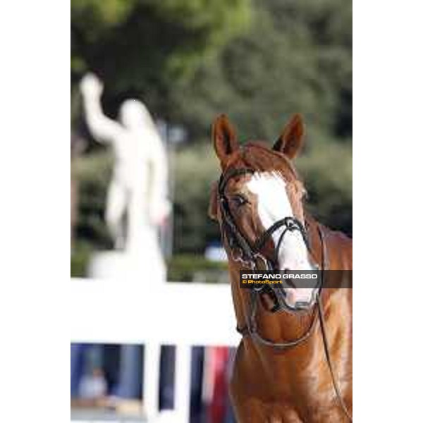 LGCT of Rome - Vet check - Funky Fred Rome - Stadio dei Marmi, 21st sep.2017 ph.Stefano Grasso/LGCT